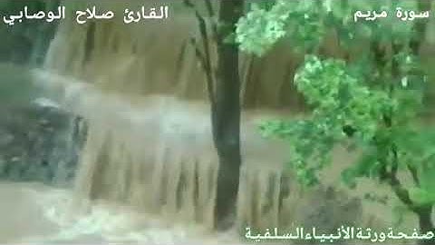 سورة مريم كامل بصوت القارئ صلاح بن سعيد الوصابي