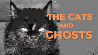 The  Cats Haunted by Ghosts