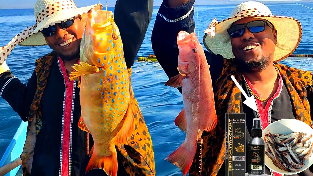 Gunakan umpan ini dijamin ketagihan, Bule sampai gak mau pulang di negaranya gegara ini