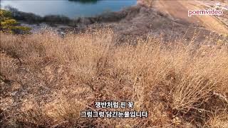 무궁화꽃(고안나)