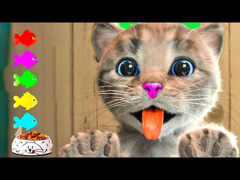 LITTLE KITTEN ADVENTURE - CARE FOR MY FAVORITE CAT GAMES AND GREAT ADVENTURES - CARTOON VIDEO