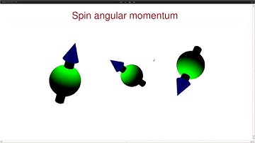 Automated Network Analysis of 2D 13C NMR Metabolomic Spectra