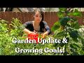 Late Spring Garden Update: Are My Goals Too Ambitious?