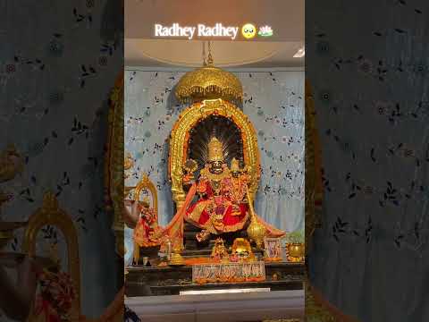 #shorts #subscribe #radheradhe 🪷🥺