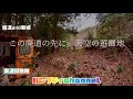 桃源郷を目指した遊園地と赤いランドセル
