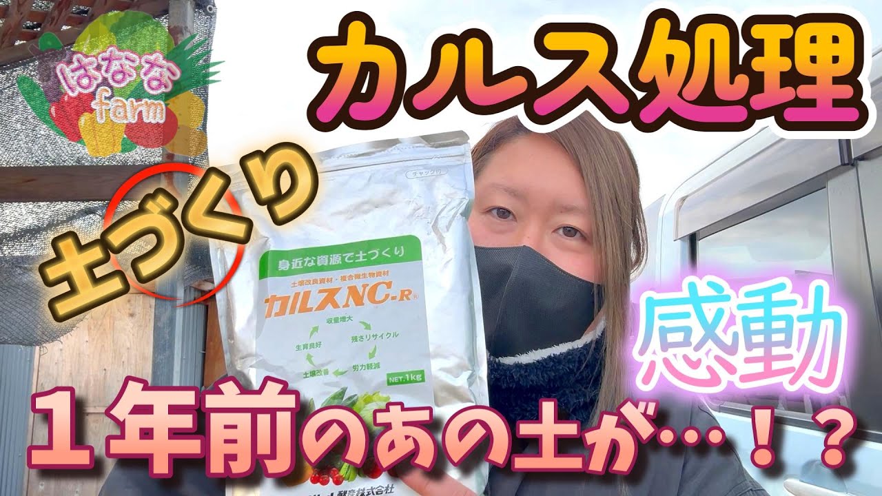 【カルス】今年も土作りします！前年動画との比較で感動…！【1年経った変化】