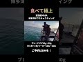 博多湾のサワラキャスティングへ行こう! #サワラ #サワラキャスティング