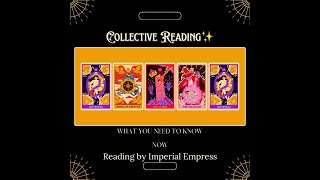 ImperialEmpressTarotLLC is live! COLLECTIVE READING ✨What you need to know now…