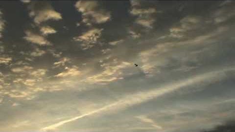 Swift II Flying Wing