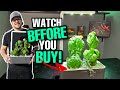 An honest review of the click and grow smart garden after 2 months