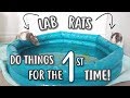 LAB RATS DO THINGS FOR THE FIRST TIME!