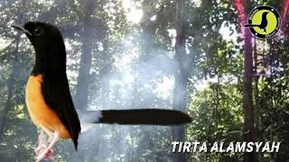 SUARA MASTERAN MURAI BATU untuk paningan dan terapi