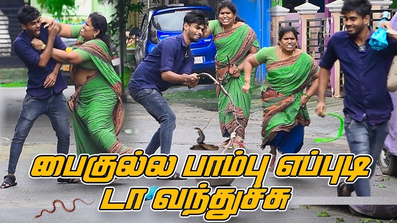 Dai Paikulla Epdida Pambu Vanthuchi  | Sharmesh | Nagai 360* Head