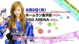 2014年 PICHELIN TVCM 6月2日~6月8日調査予定日