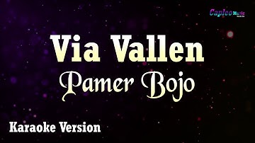Via Vallen - Pamer Bojo (Karaoke Version)