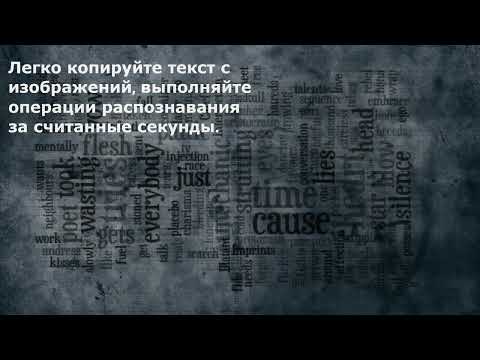 Копирование текста с