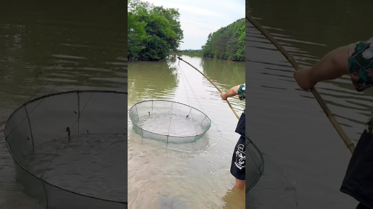 😳 River fishing trap with chotka 🔥#youtubeshorts #daily #fishing #villagefishingman