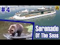 Serenade Of The Seas Pt.4: Sitka Wildlife Tours, Fortress Of The Bear, Raptor Center - ParoDeeJay