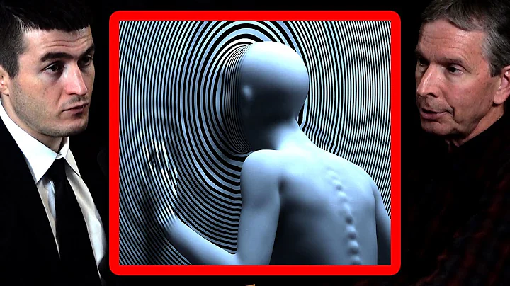 Humans are detached from reality | Donald Hoffman ...