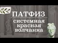 Системная красная волчанка (патогенез, симптомы, этиология) | Патологическая физиология