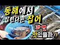 동명항에서 4만원어치 회를사면 생기는 일!/ Only korea south sea of trash fish that tastes like?