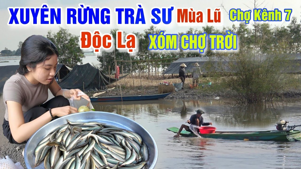 XUYÊN RỪNG TRÀ SƯ MÙA LŨ - ĐỘC LẠ XÓM CHỢ TRỜI QUÁ NHIỀU ĐẶC SẢN RẮN CÁ Ở CHỢ KÊNH 7