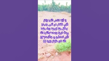 #سورة #النساء  يَا أَيُّهَا النَّاسُ اتَّقُوا رَبَّكُمُ الَّذِي خَلَقَكُم مِّن نَّفْسٍ وَاحِدَة
