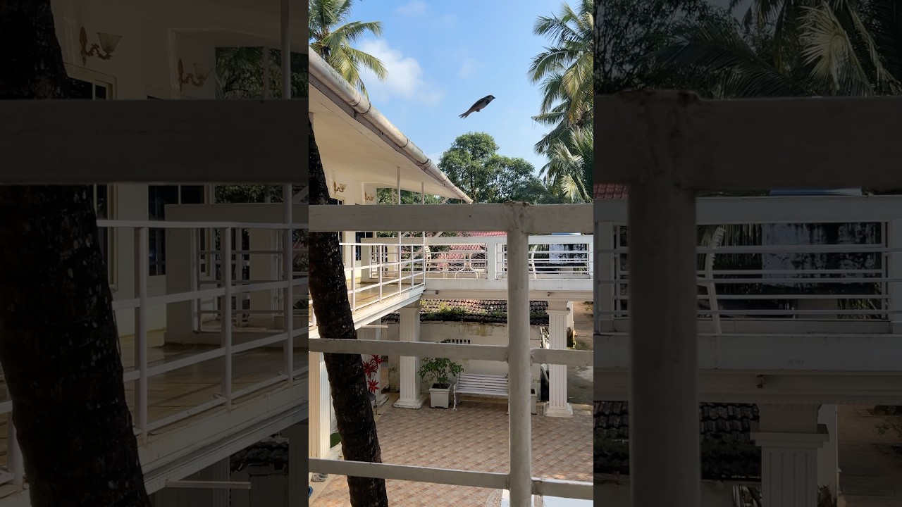 I got scammed by Goibibo in South Goa 🤯 