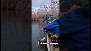 Результат 3 января рыбалки судака на джиг в Астрахани