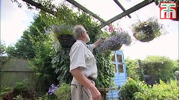 Customer video review of Thompson and Morgans automated irrigation system.