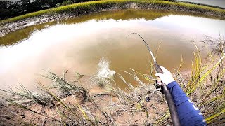 Catching An Inshore Slam From The Bank In Beaufort SC!