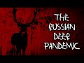 Russian nature horror stories  28 strange happenings in russian wildlife