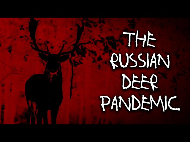 RUSSIAN Nature HORROR Stories | 28 Strange Happenings in Russian Wildlife class=