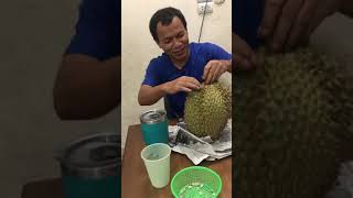 ทุเรียนระยอง Rayong durian Thailand