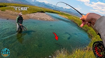 Fly Fishing for the Most Controversial Trout In America... and it