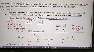 POLYGENIC OR QUANTITATIVE INHERITANCE 1