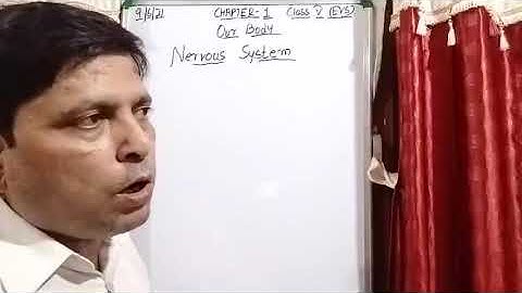 Class V EVS 09 06 2021 by Mr Rupesh Chapter 1 Nervous system