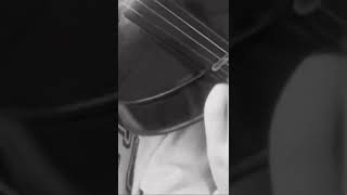 Playing faded by Alan walker  on the violin 🎻 #shorts #blowup #viral #faded#violinist