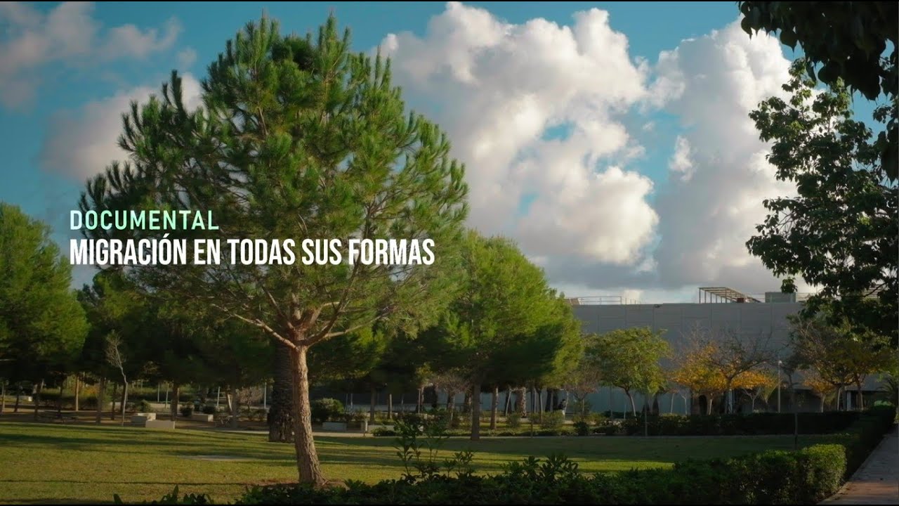 Documental - Migración en todas sus formas