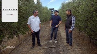 Episodio 06: La Rioja, Patquia, Vichigasta, Chilecito, San Blas (21052023)  Proyecto Tierras