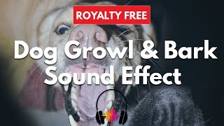 Dog Growling Sound Effect Free