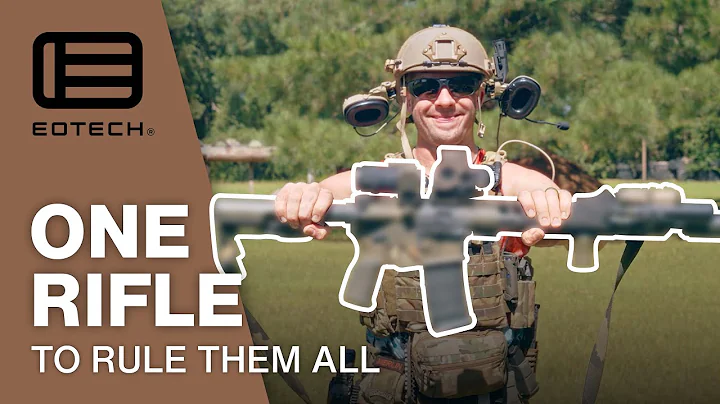 If you could only own ONE Rifle....