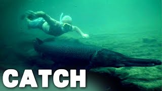 Alligator Gars Up Close and Personal | River Monsters | Catch