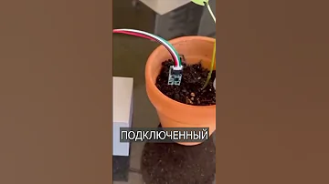 Инженер научил растения КРИКОМ просить воду