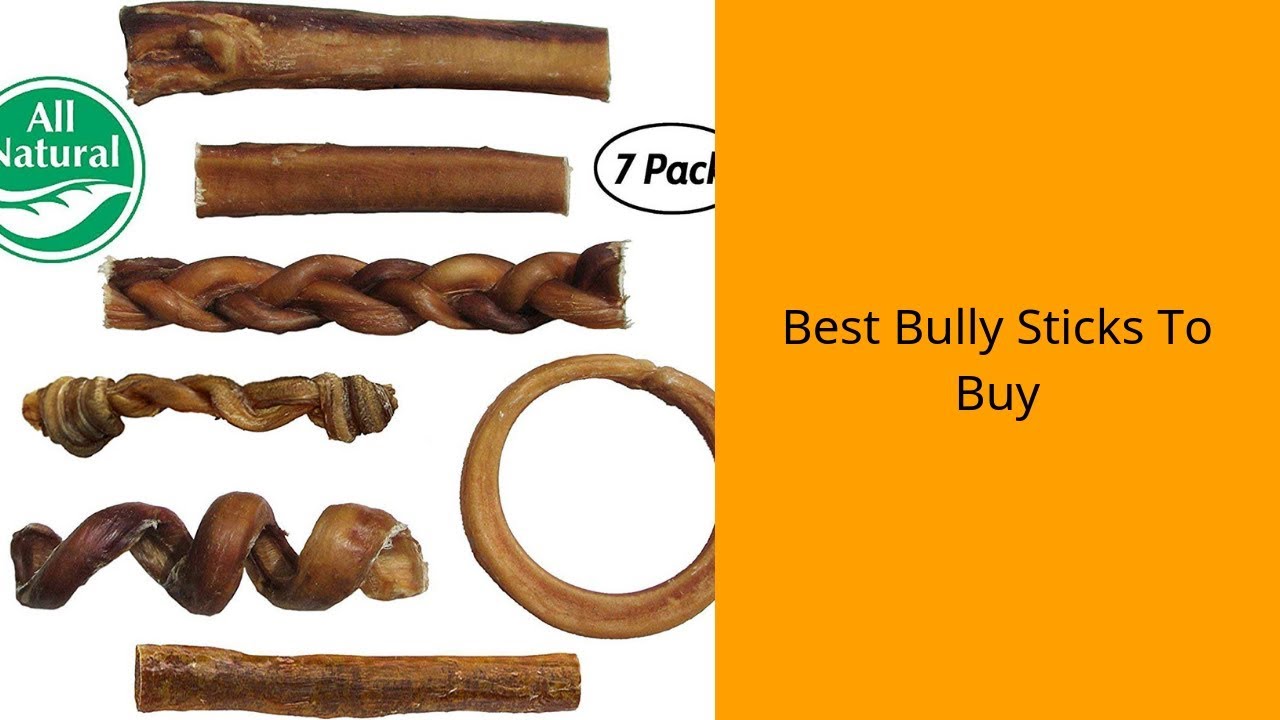 Best Bully Sticks To Buy Bully Sticks Reviews YouTube