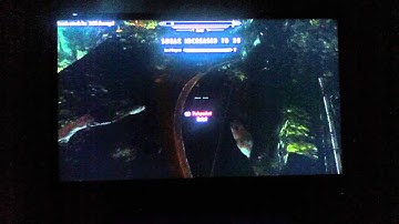 Skyrim how to get level 81 on the first misson