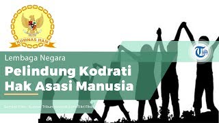 Komnas HAM, Komisi Nasional Hak Asasi Manusia