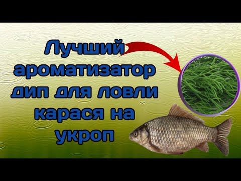 ЛОВЛЯ КАРАСЯ НА УКРОП! ВОТ ЭТО КЛЁВ! Лучший ароматизатор, дип, аттрактант для карася !