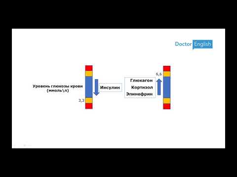 Воскресная пятиминутка 06: Сахароснижающие препараты