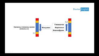 Воскресная пятиминутка 06: Сахароснижающие препараты